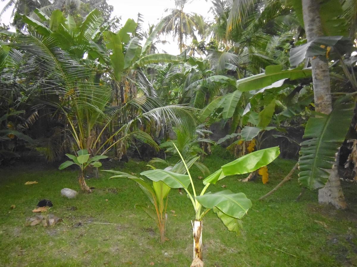 Mama'S Hostel By Taprobane Negombo Luaran gambar