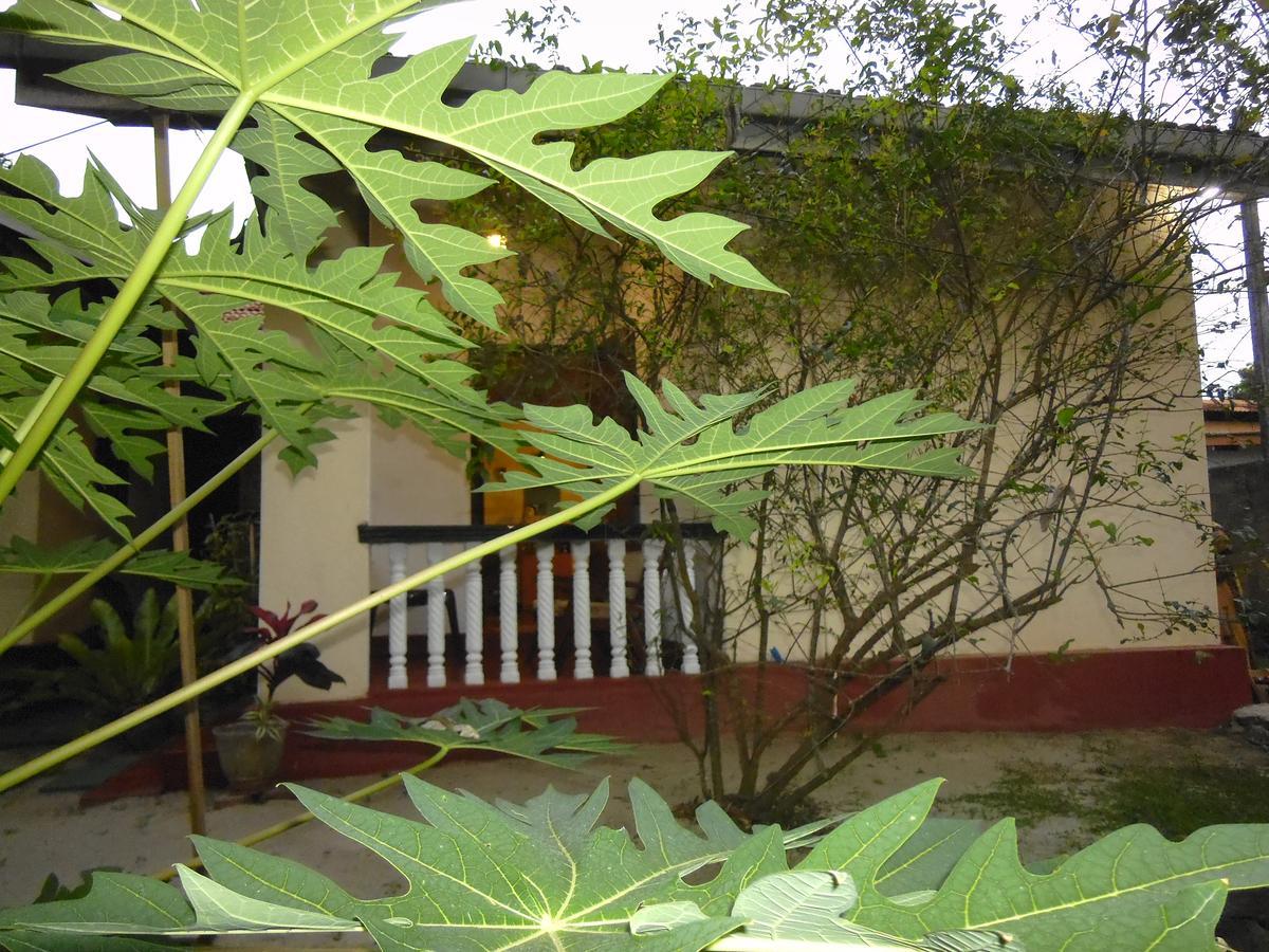 Mama'S Hostel By Taprobane Negombo Luaran gambar