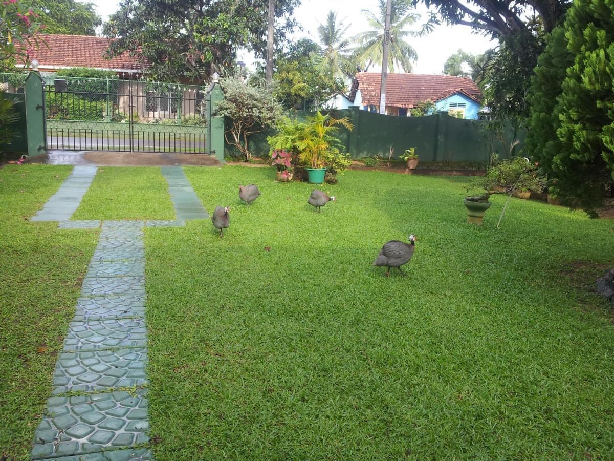 Mama'S Hostel By Taprobane Negombo Luaran gambar